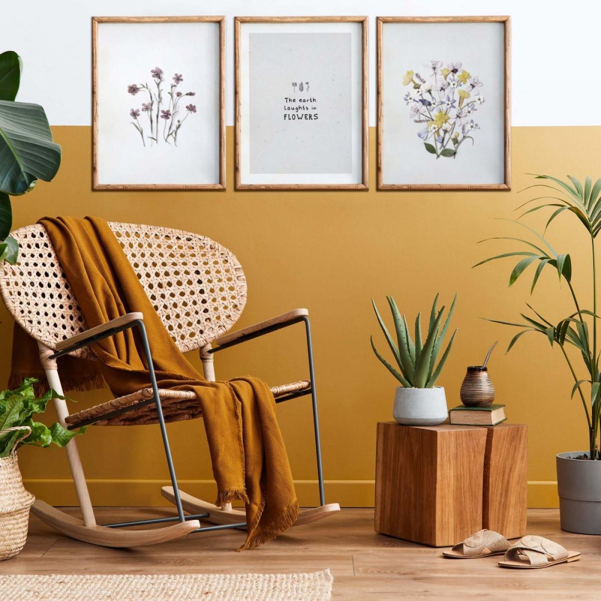 Set de láminas SILVESTRE