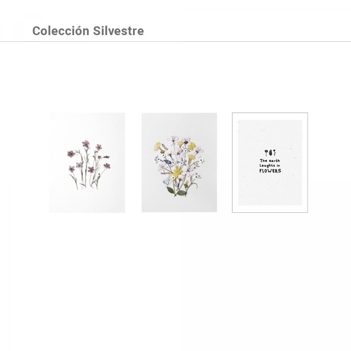 Set de láminas SILVESTRE