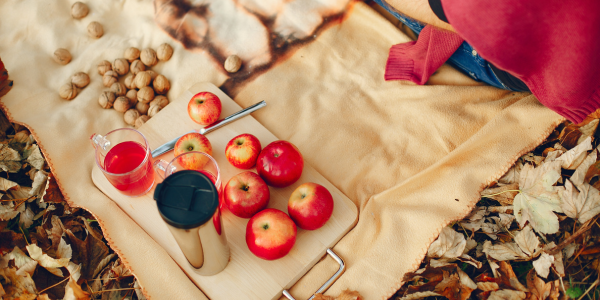 recetas para disfrutar del hogar en noviembre