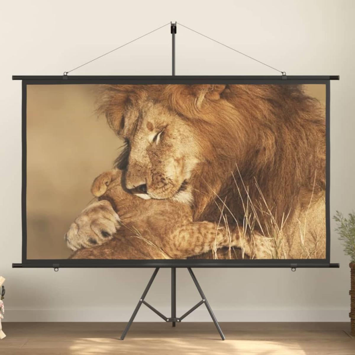 Pantalla de proyección 90