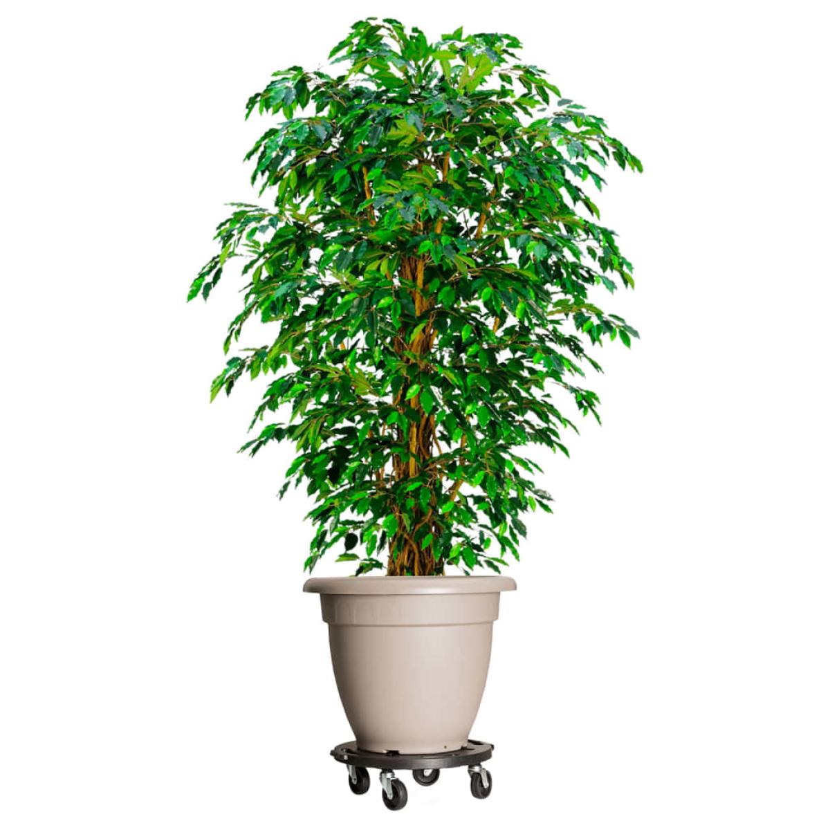 Soporte para plantas con ruedas negro diámetro 40 cm 275 kg