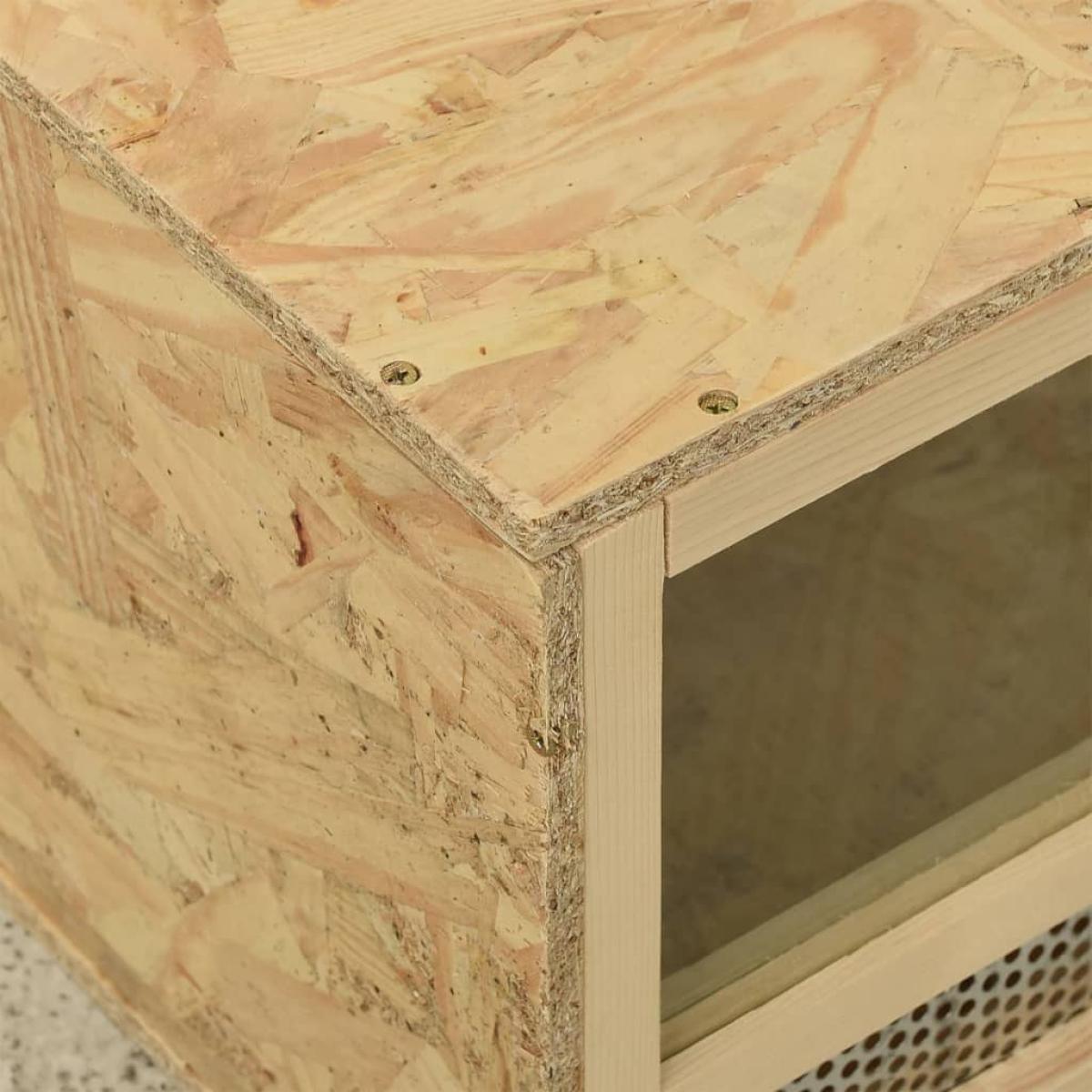 Terrario de madera contrachapada 60x30x30 cm