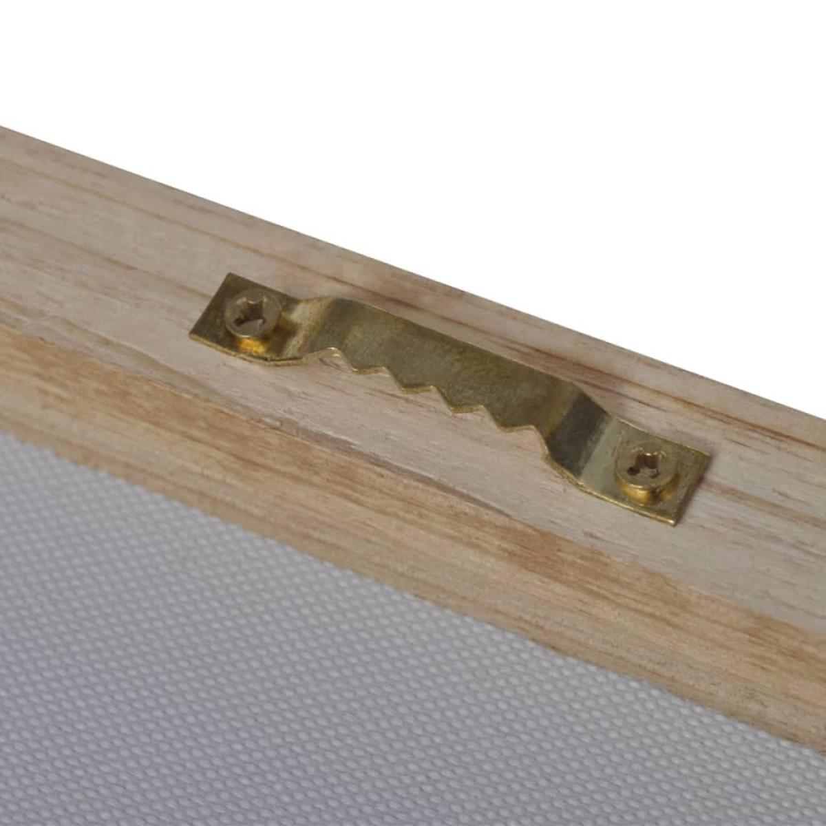 Set decorativo de lienzos para la pared modelo leones, 100 x 50 cm