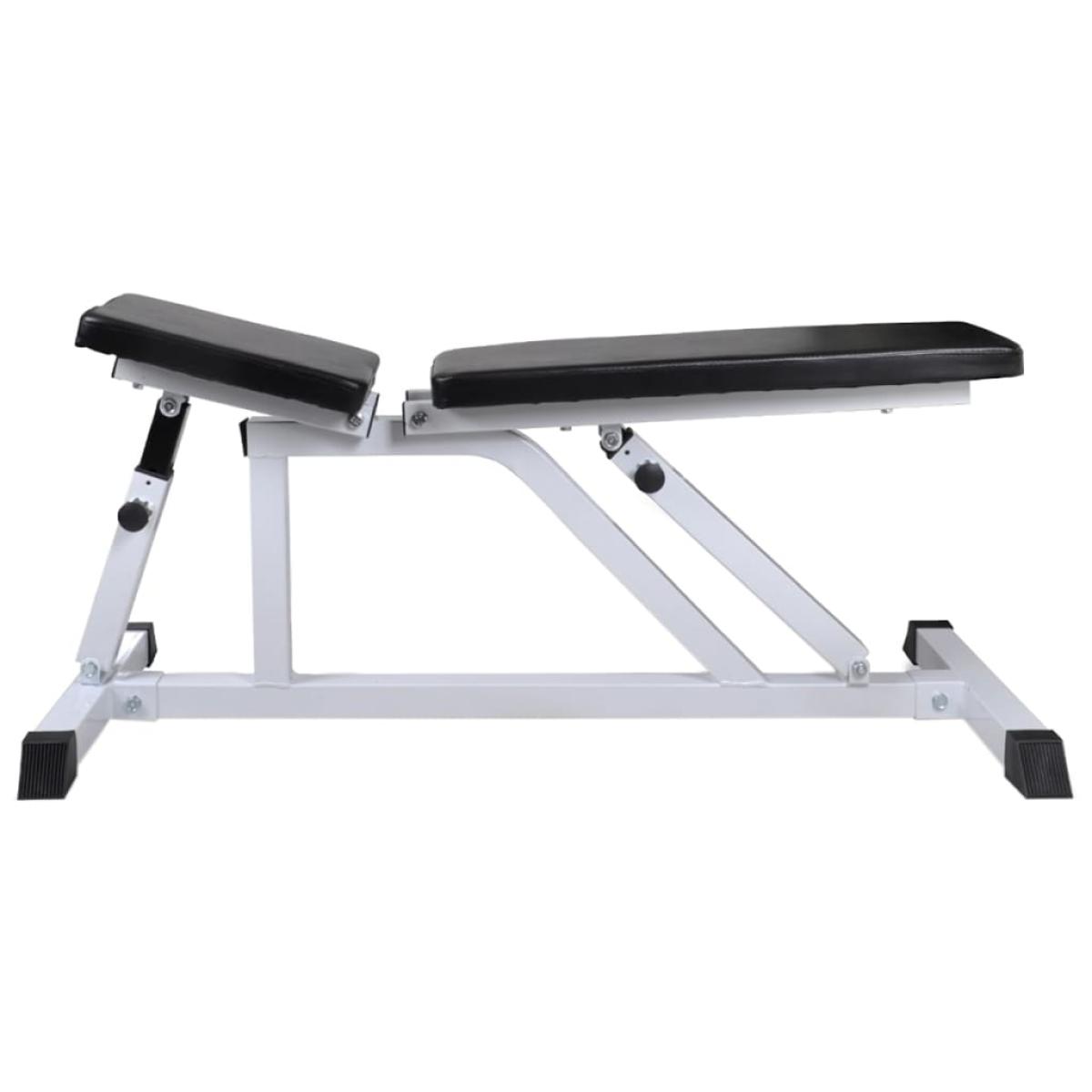 Banco de musculación con pesas y mancuernas 30,5 kg 