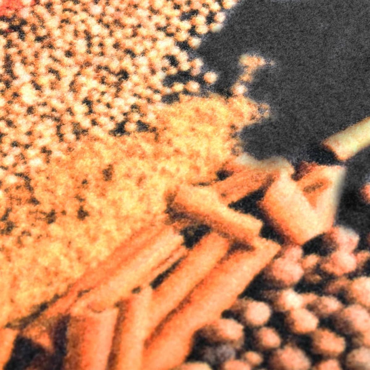 Alfombra de cocina lavable Spice 60x300 cm