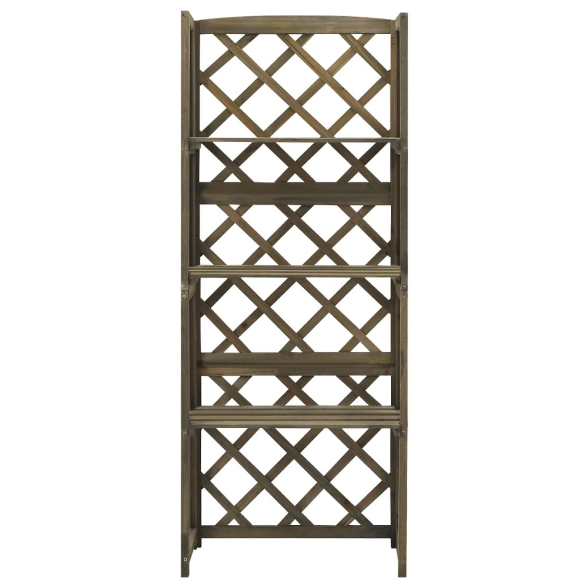 Enrejado con estantes madera maciza de abeto gris 55x30x140 cm