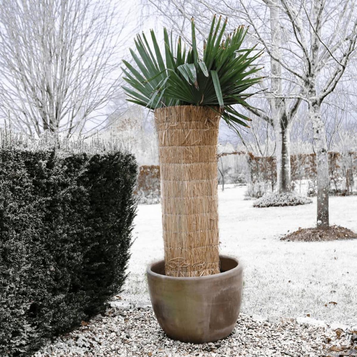 Nature funda protectora de paja de arroz para invierno 1x1,5 m 6030105