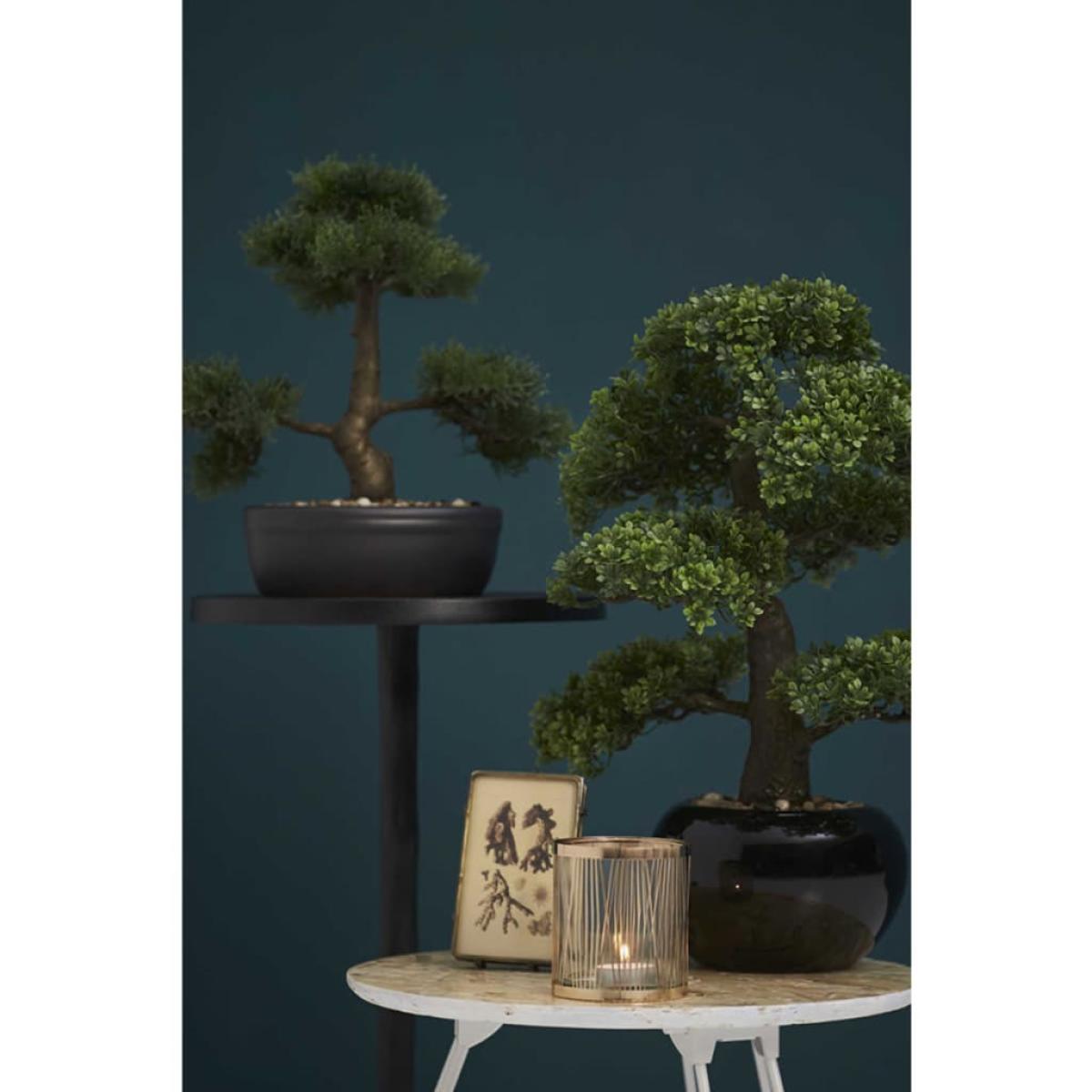 Emerald Mini bonsai artificial Ficus verde 47 cm 420006