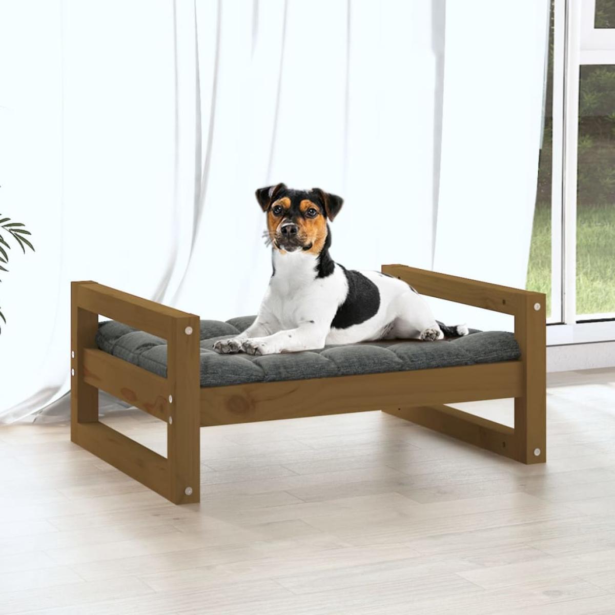 Cama para perros madera maciza pino marrón miel 55,5x45,5x28 cm