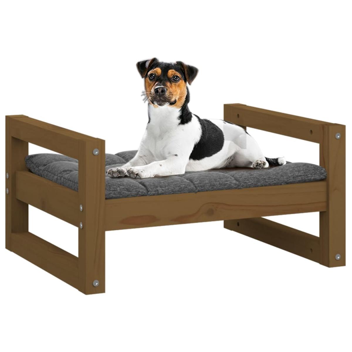 Cama para perros madera maciza pino marrón miel 55,5x45,5x28 cm