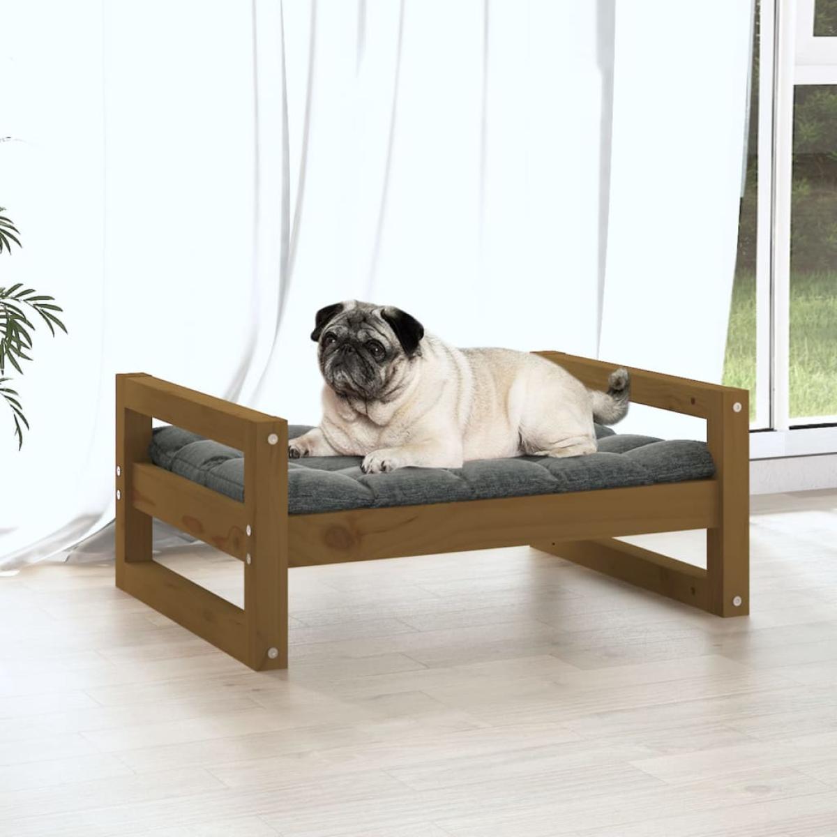 Cama para perros madera maciza pino marrón miel 65,5x50,5x28 cm