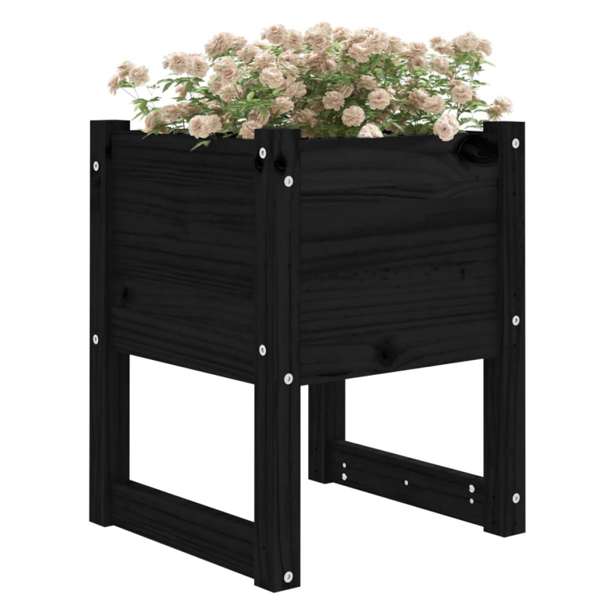 Jardinera madera maciza de pino negro 40x40x52,5 cm