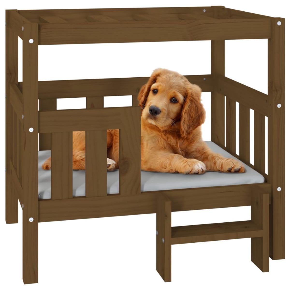 Cama para perros madera maciza pino marrón miel 75,5x63,5x70 cm
