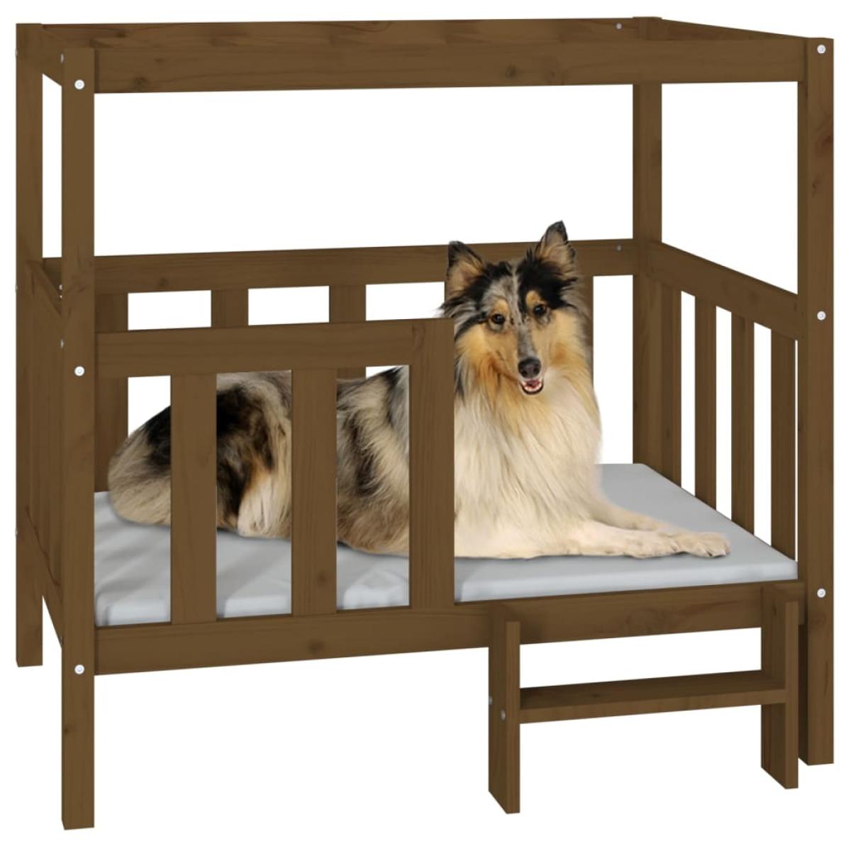  Cama perros madera maciza pino marrón miel 105,5x83,5x100 cm