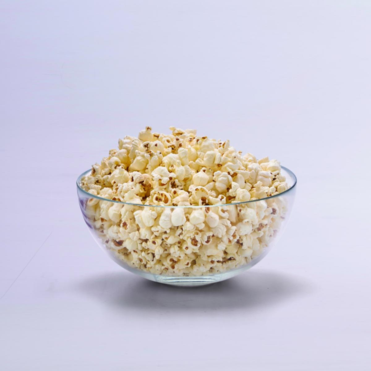 PALOMITERO ARIETE 2953 2,4L XL