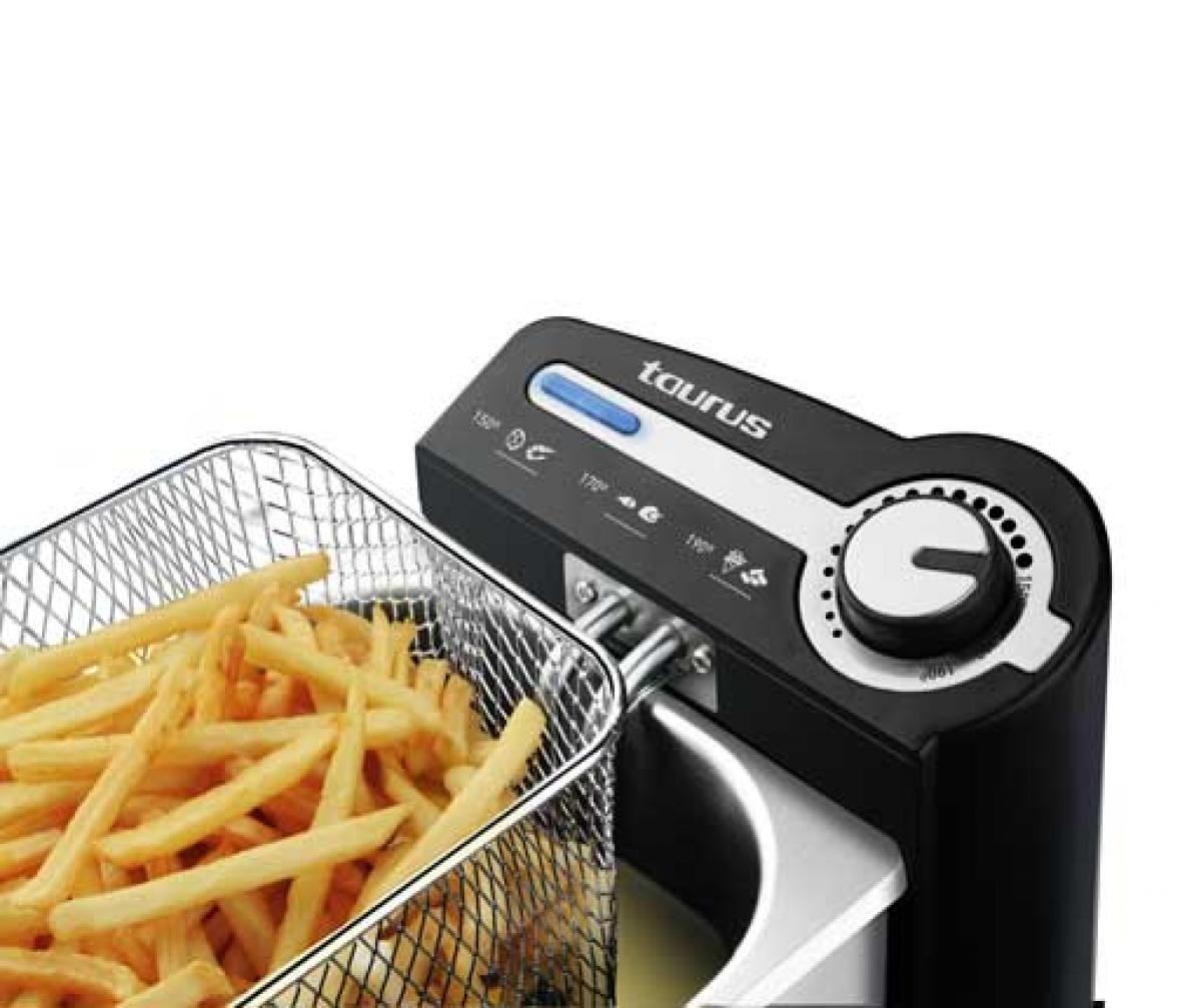 FREIDORA TAURUS PROFESSIONAL 2 PLUS 2L 1700W INOX 973958000