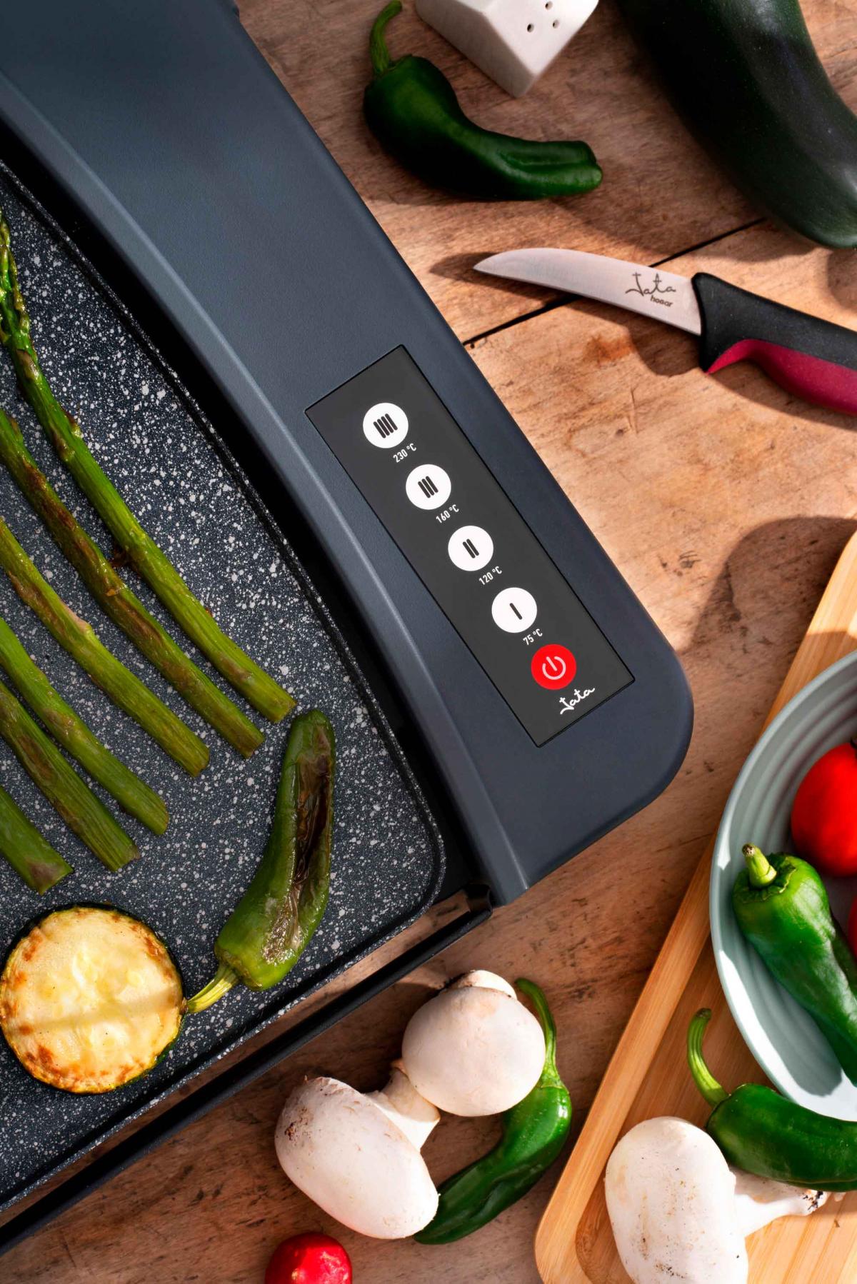 PLANCHA ASAR JATA JEGR2851 2600W 46x28 ELECTRONICA