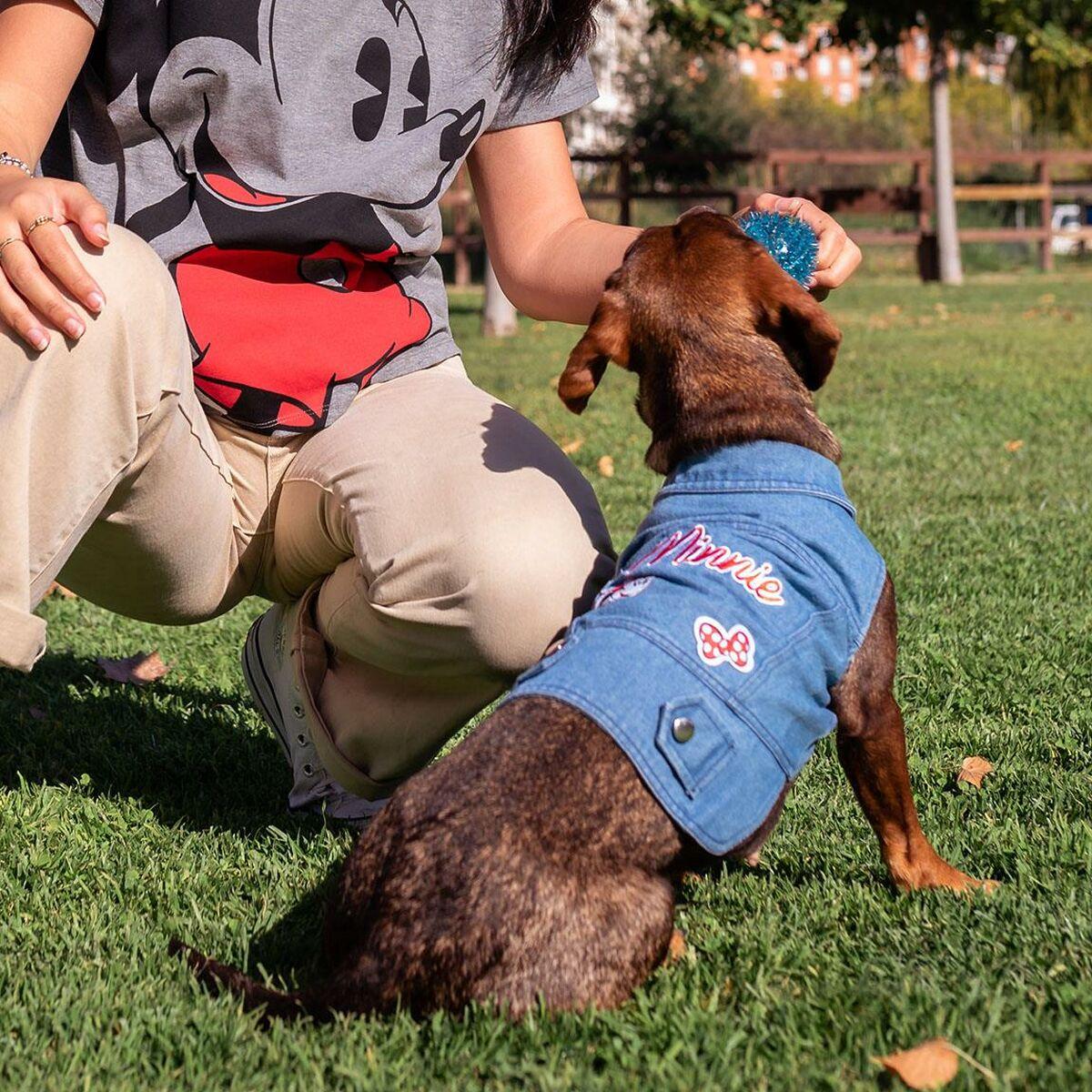 Chaqueta para Perro Minnie Mouse M Azul