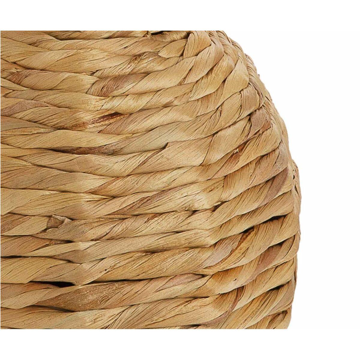 Jarrón Alexandra House Living Marrón Jacinto de agua 26 x 60 x 26 cm