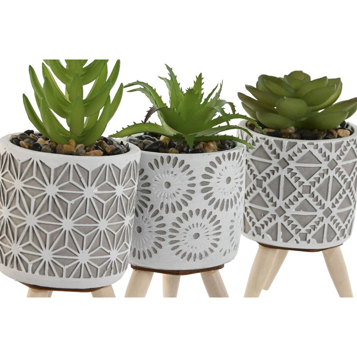 Planta Decorativa Home ESPRIT Polietileno Cemento 6,5 x 6,5 x 11 cm (3 Unidades)