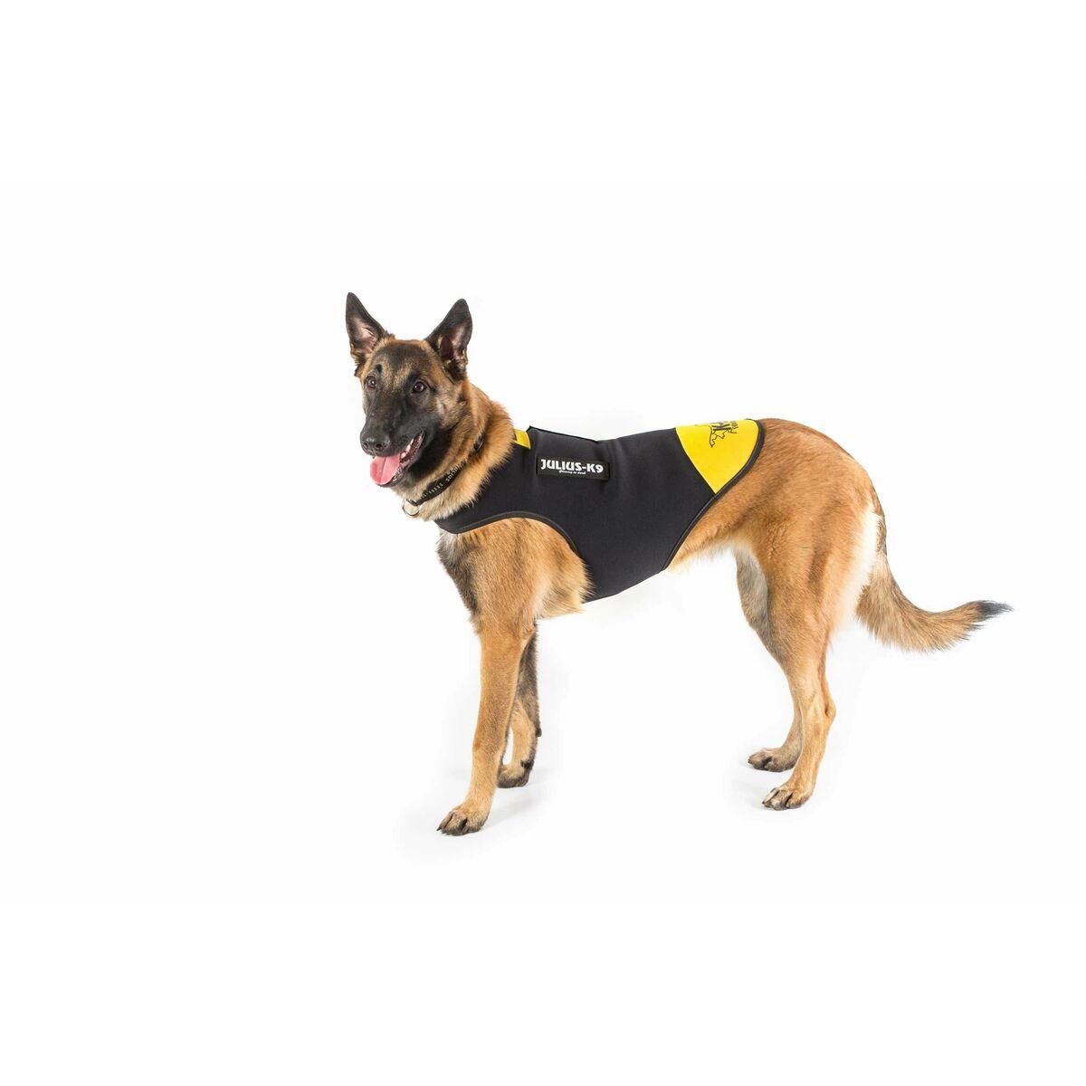 Arnés para Perro Julius K9 IDC L/XL 2