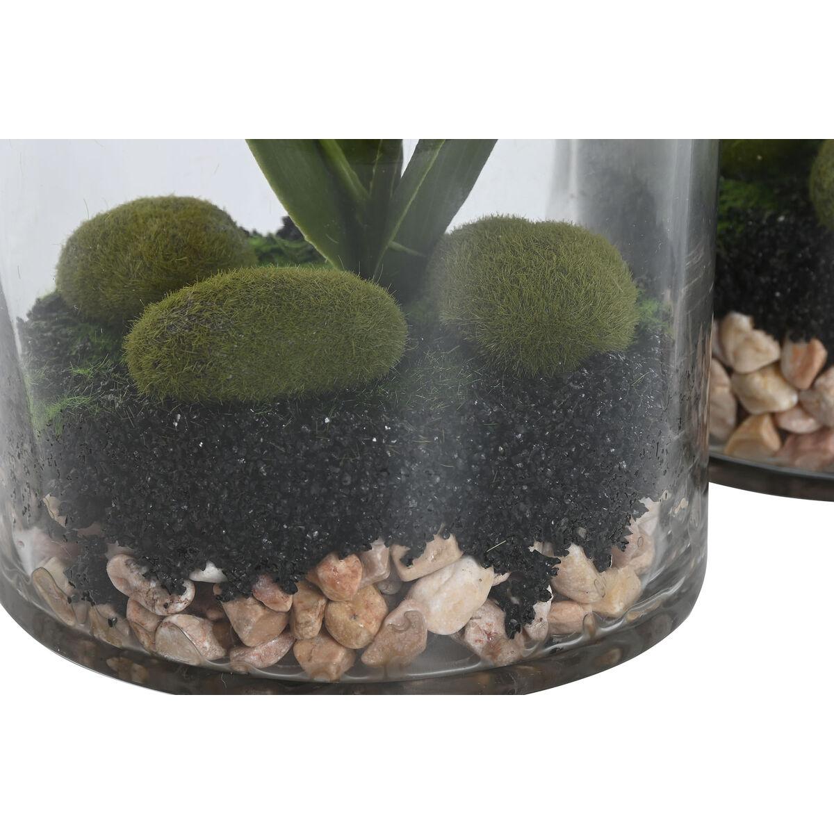 Planta Decorativa Home ESPRIT PVC Cristal 15 x 15 x 20 cm (2 Unidades)