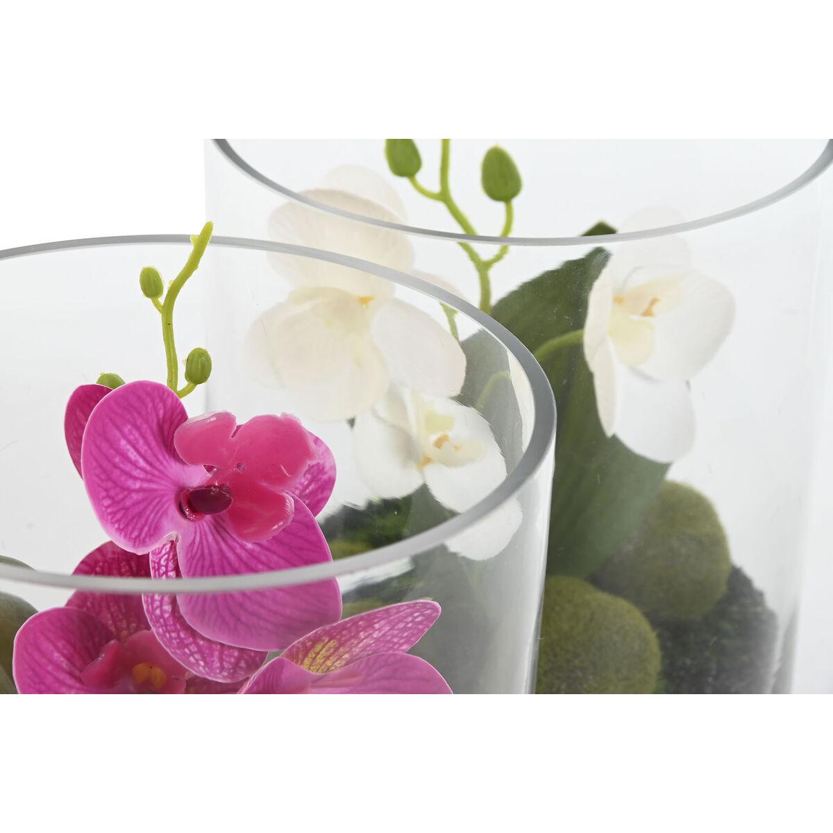 Planta Decorativa Home ESPRIT PVC Cristal 15 x 15 x 20 cm (2 Unidades)