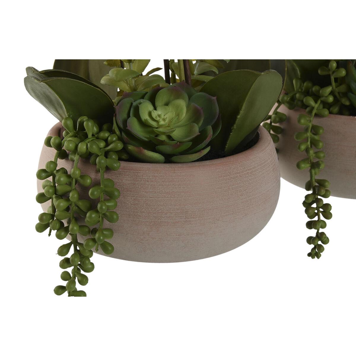 Planta Decorativa Home ESPRIT Polietileno Papel maché 40 X 35 X 52 cm (2 Unidades)
