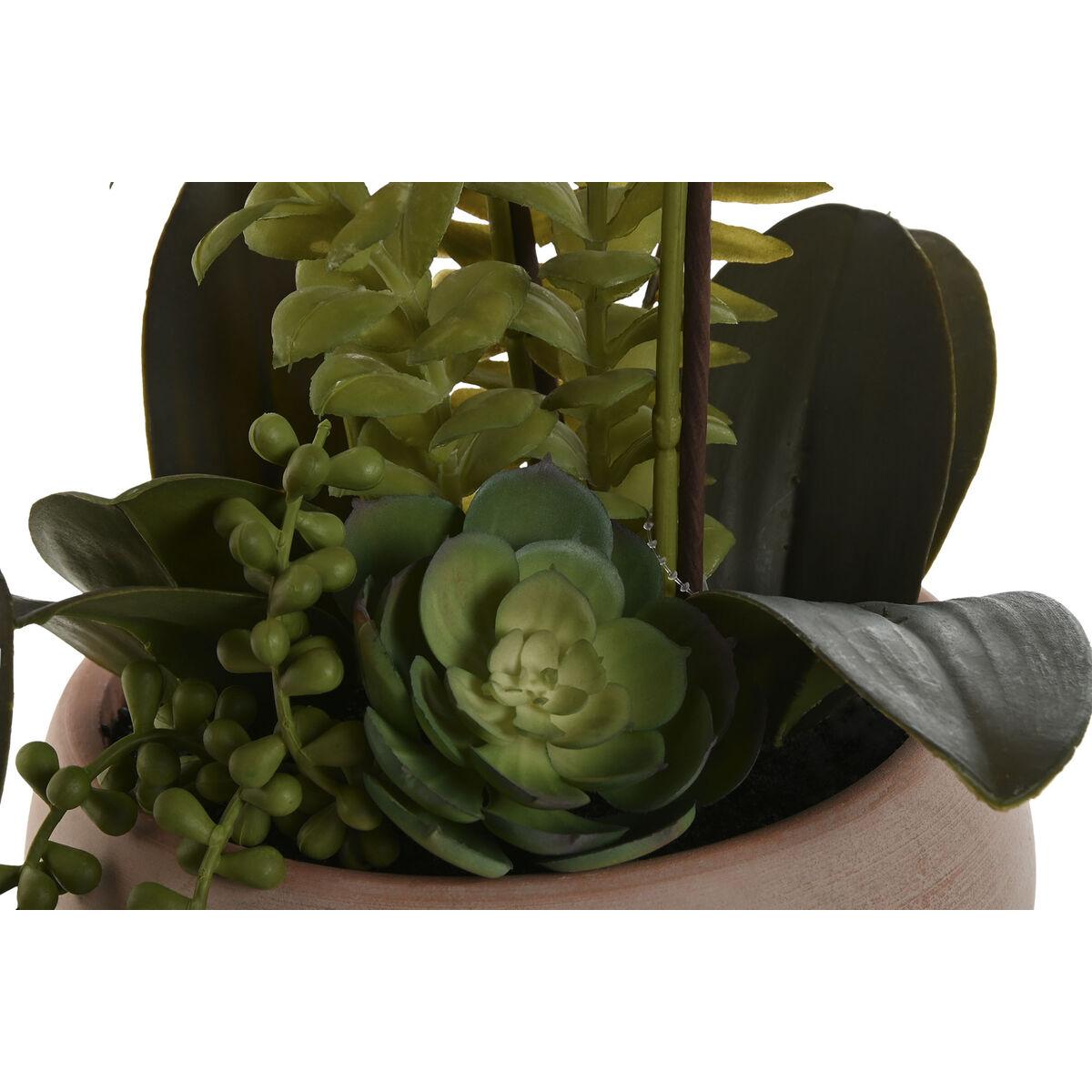 Planta Decorativa Home ESPRIT Polietileno Papel maché 40 X 35 X 52 cm (2 Unidades)
