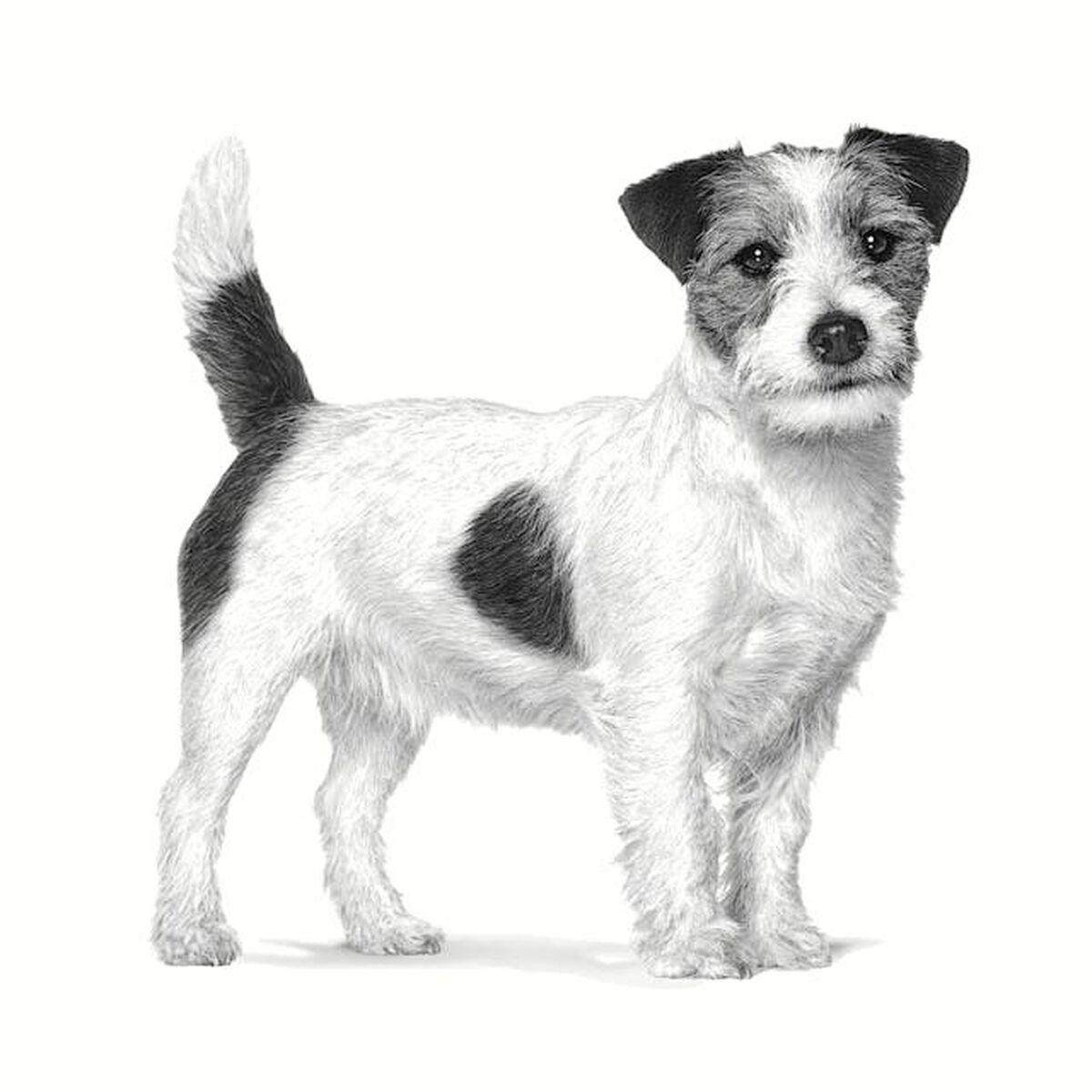 Pienso Royal Canin Gastrointestinal Low Fat Small VHN Adulto Carne Aves 3,5 g 1,5 Kg