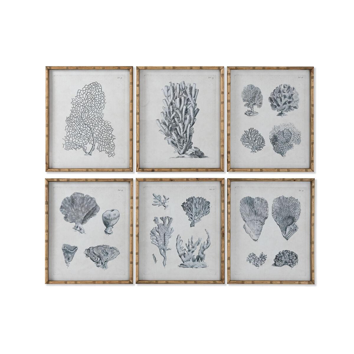 Cuadro Home ESPRIT Gris Mediterráneo 50 x 3 x 60 cm (6 Unidades)