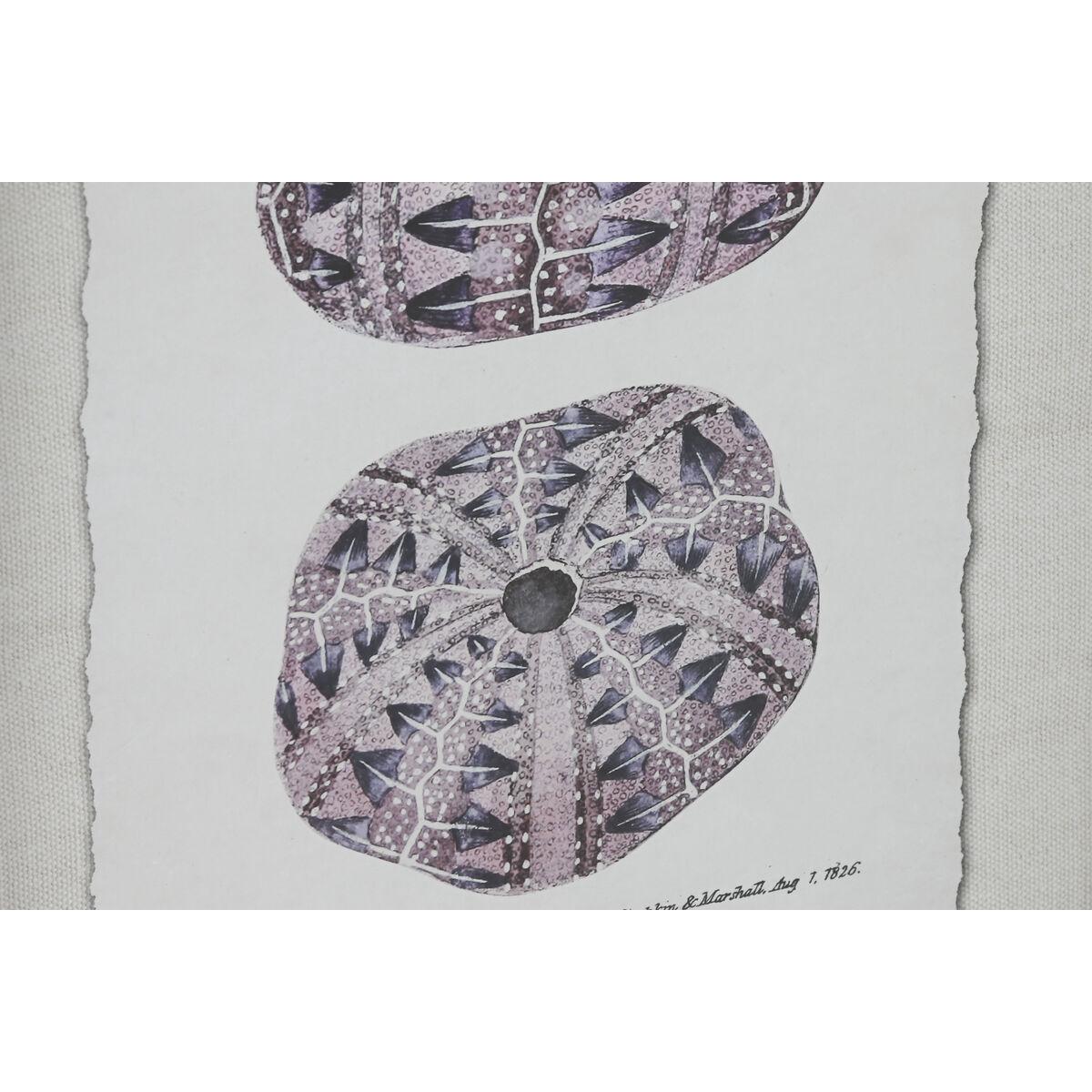 Cuadro Home ESPRIT Coral 35 x 2 x 45 cm (9 Unidades)