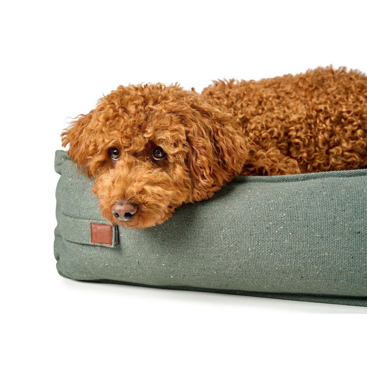 Cama para Perro Hunter Belluno Verde 80x60 cm