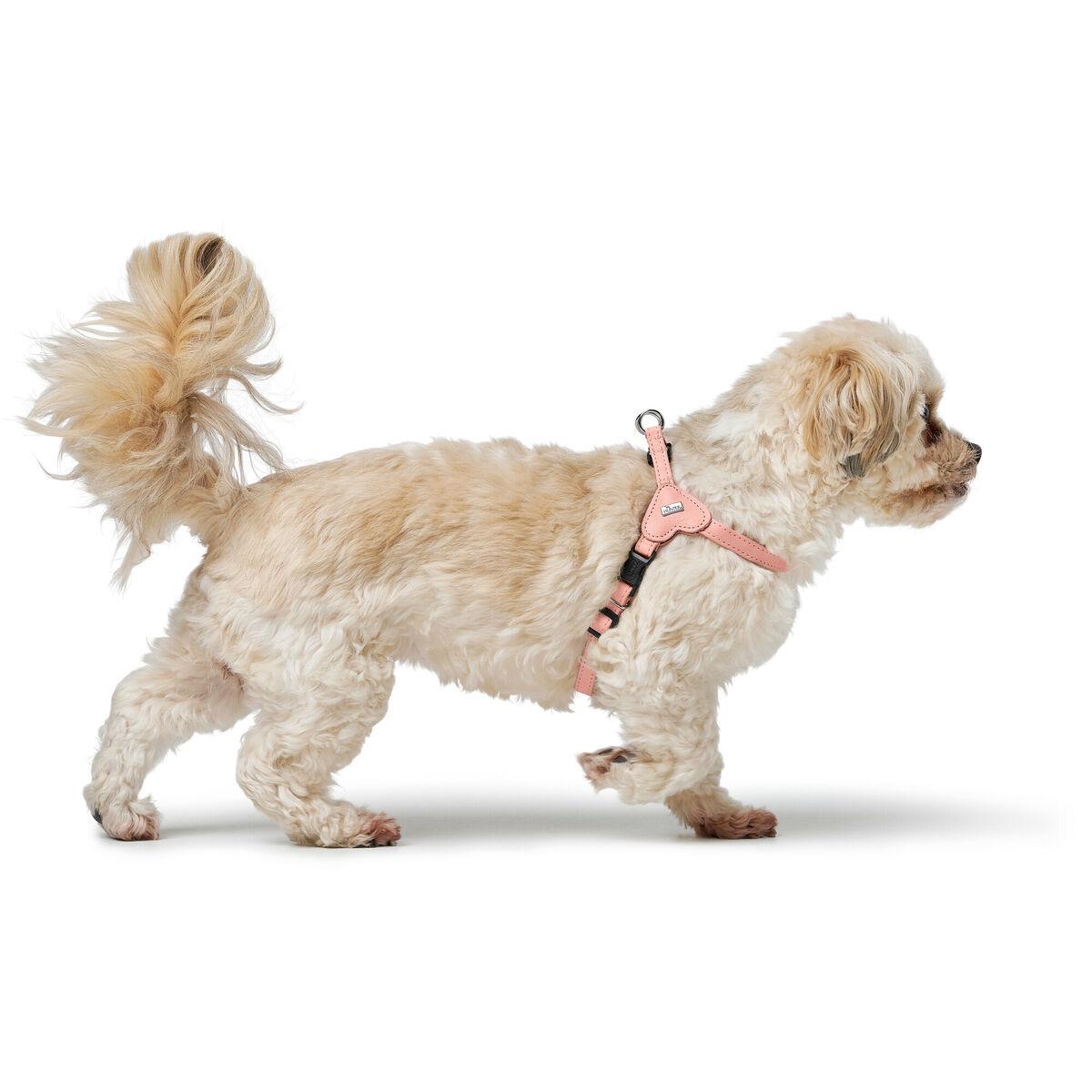 Arnés para Perro Hunter SOHO MINI Rosa