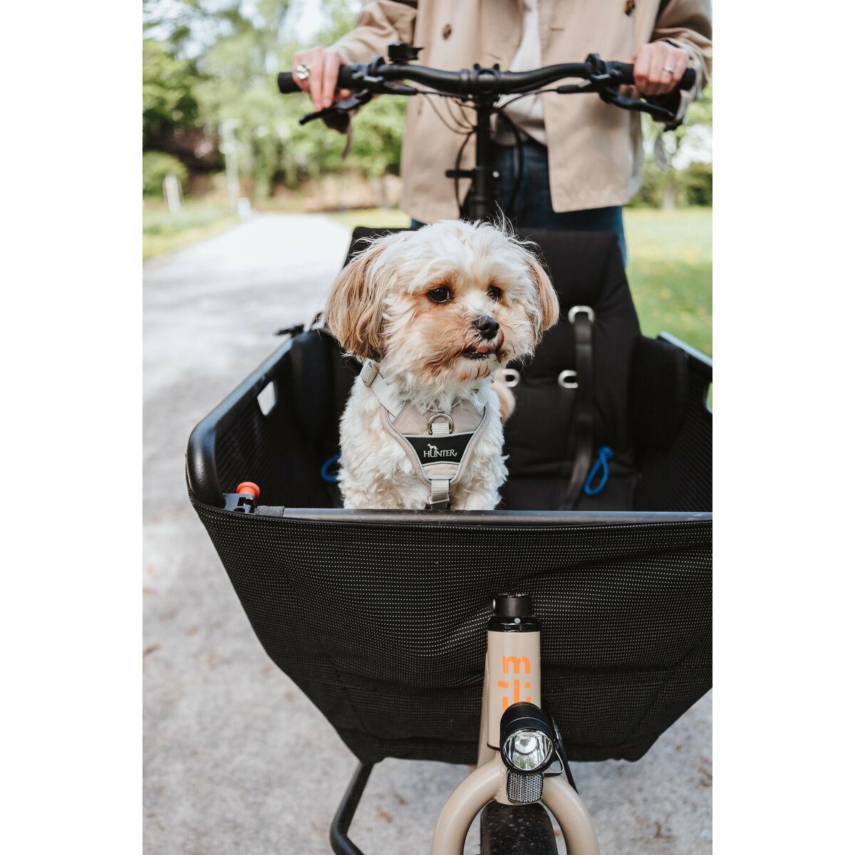 Arnés para Perro Hunter DIVO UP Beige M