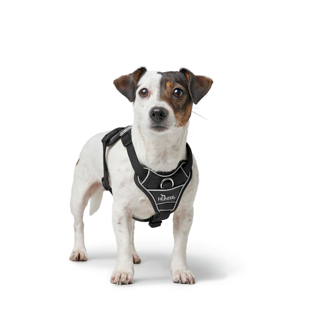 Arnés para Perro Hunter DIVO UP Negro L