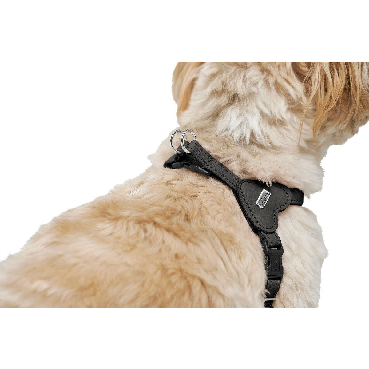 Arnés para Perro Hunter SOHO MINI Negro XS/S