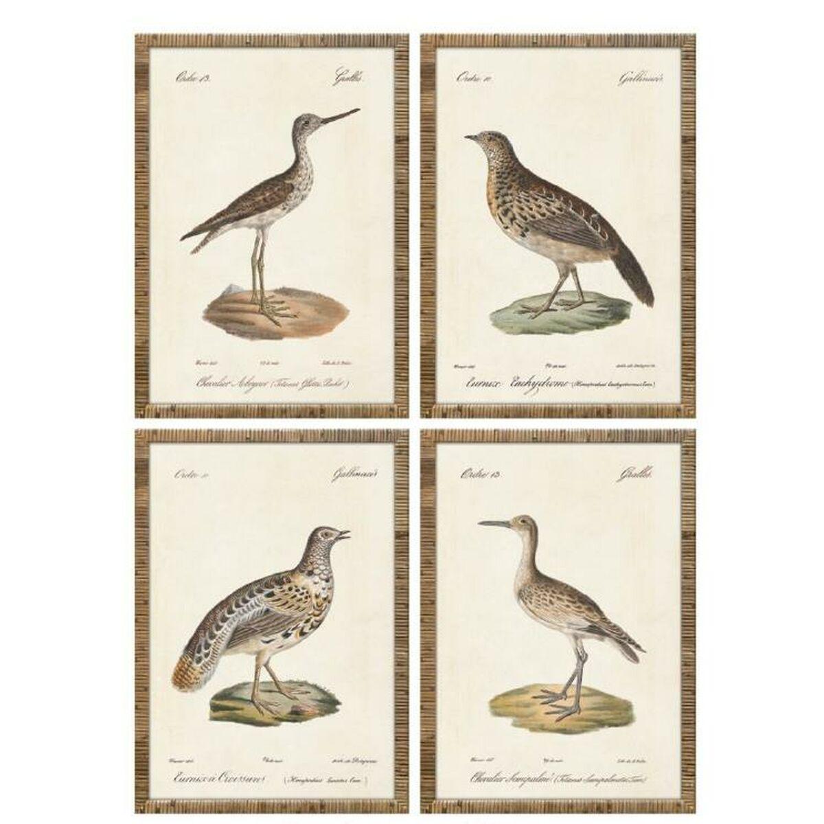 Cuadro Home ESPRIT Beige Pájaros Cottage 40 x 2,5 x 50 cm (4 Unidades)