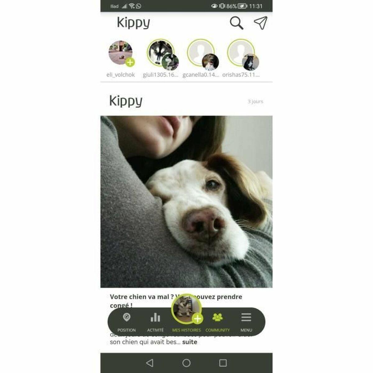Localizador Antipérdida KIPPY Amarillo
