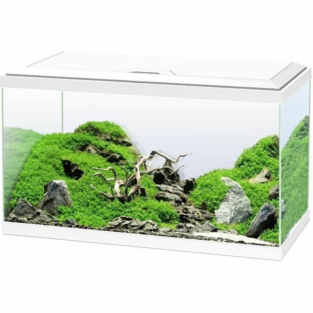 Acuario Ciano