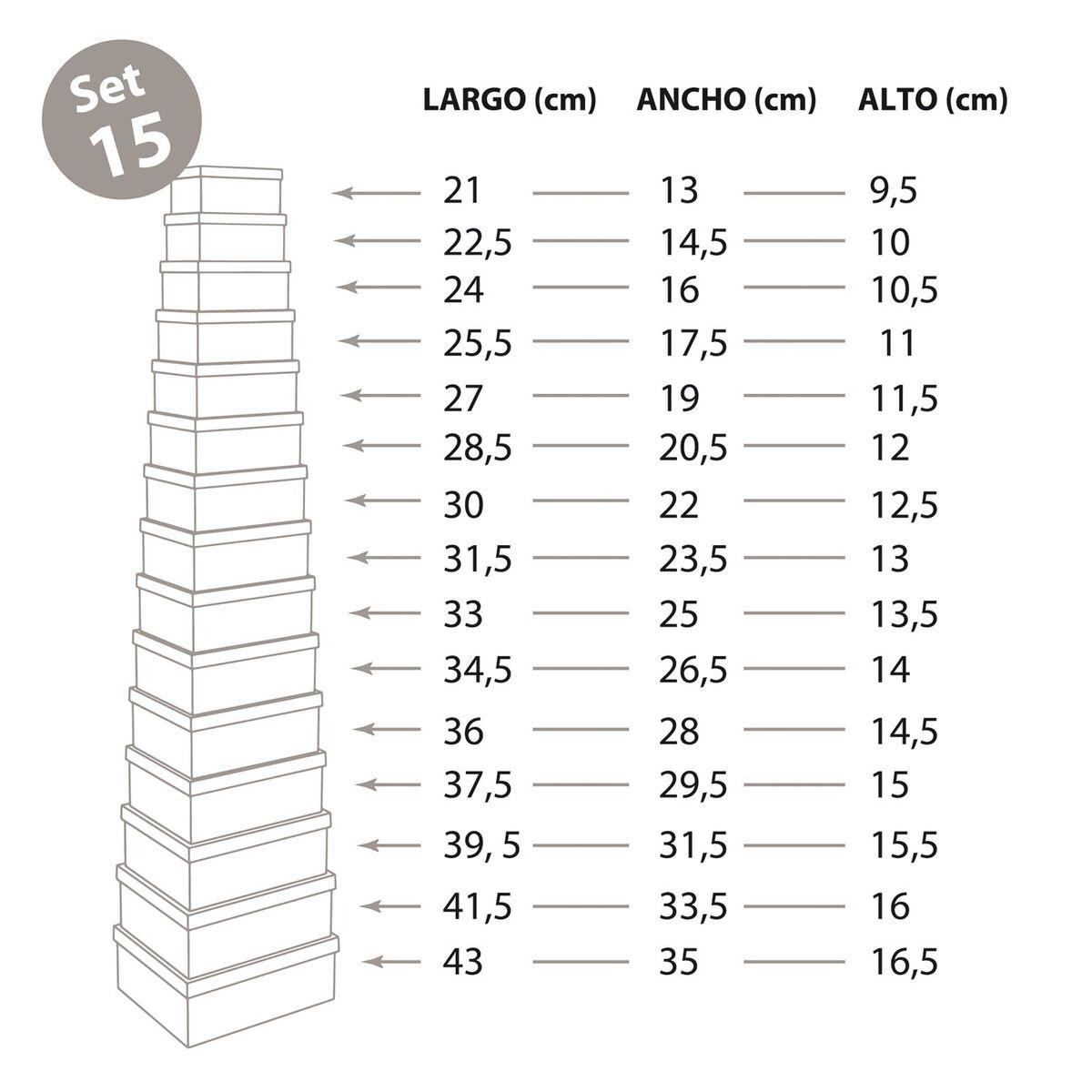 Juego de Cajas Decorativas Versa Cartón Plumas (15 Piezas)