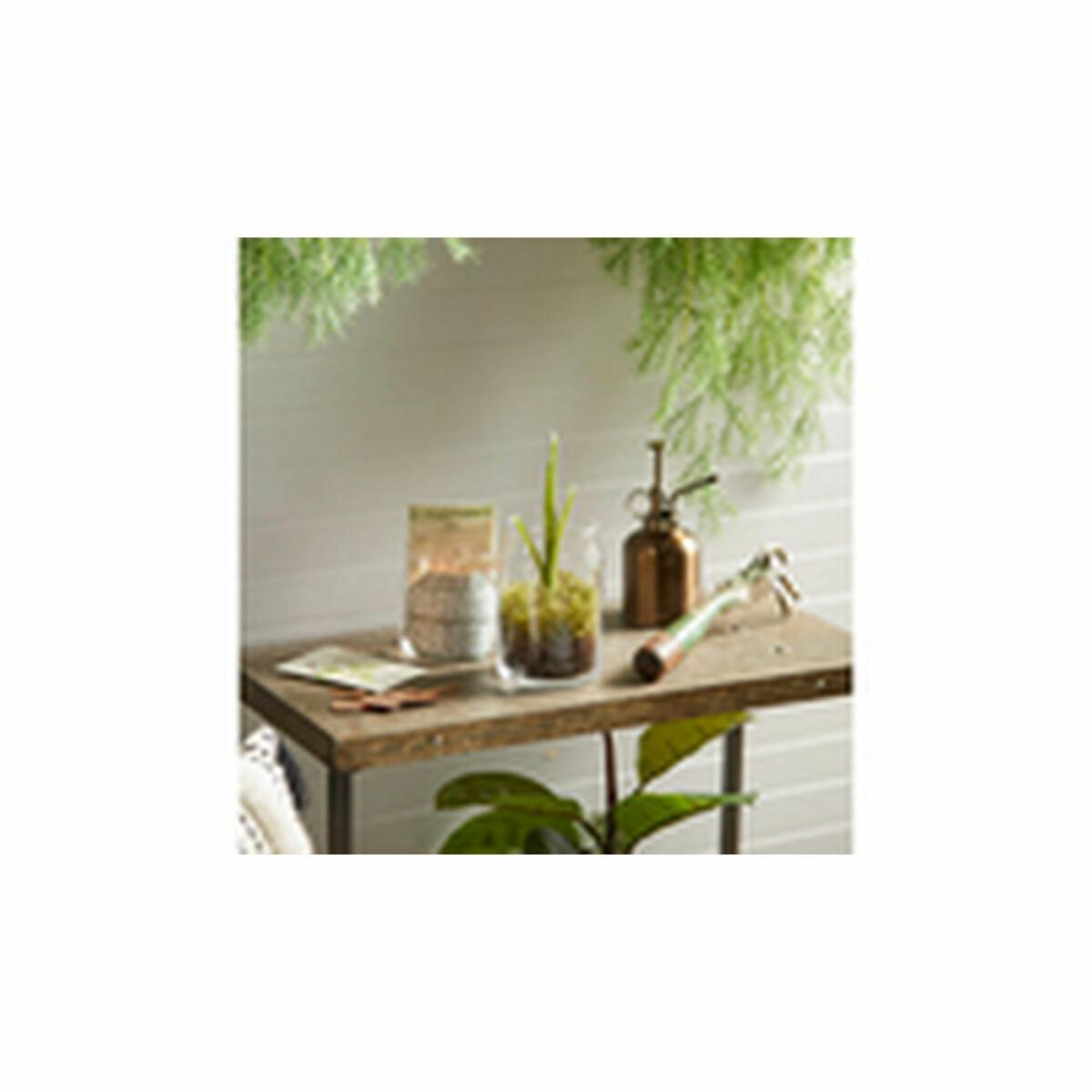 Vela Perfumada Yankee Candle 1629970E Morado