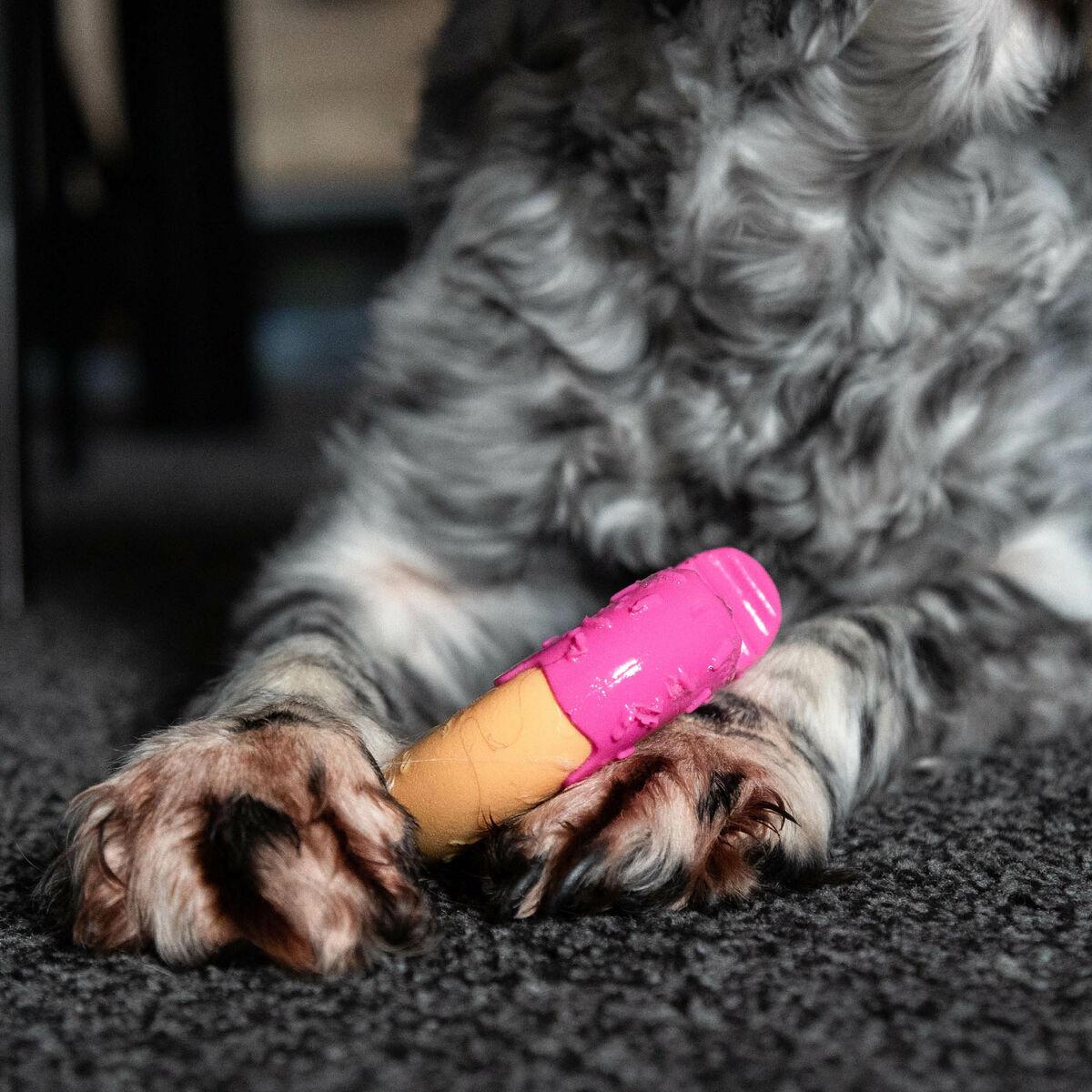 Juguete para perros Nylabone Rosa Bacon M
