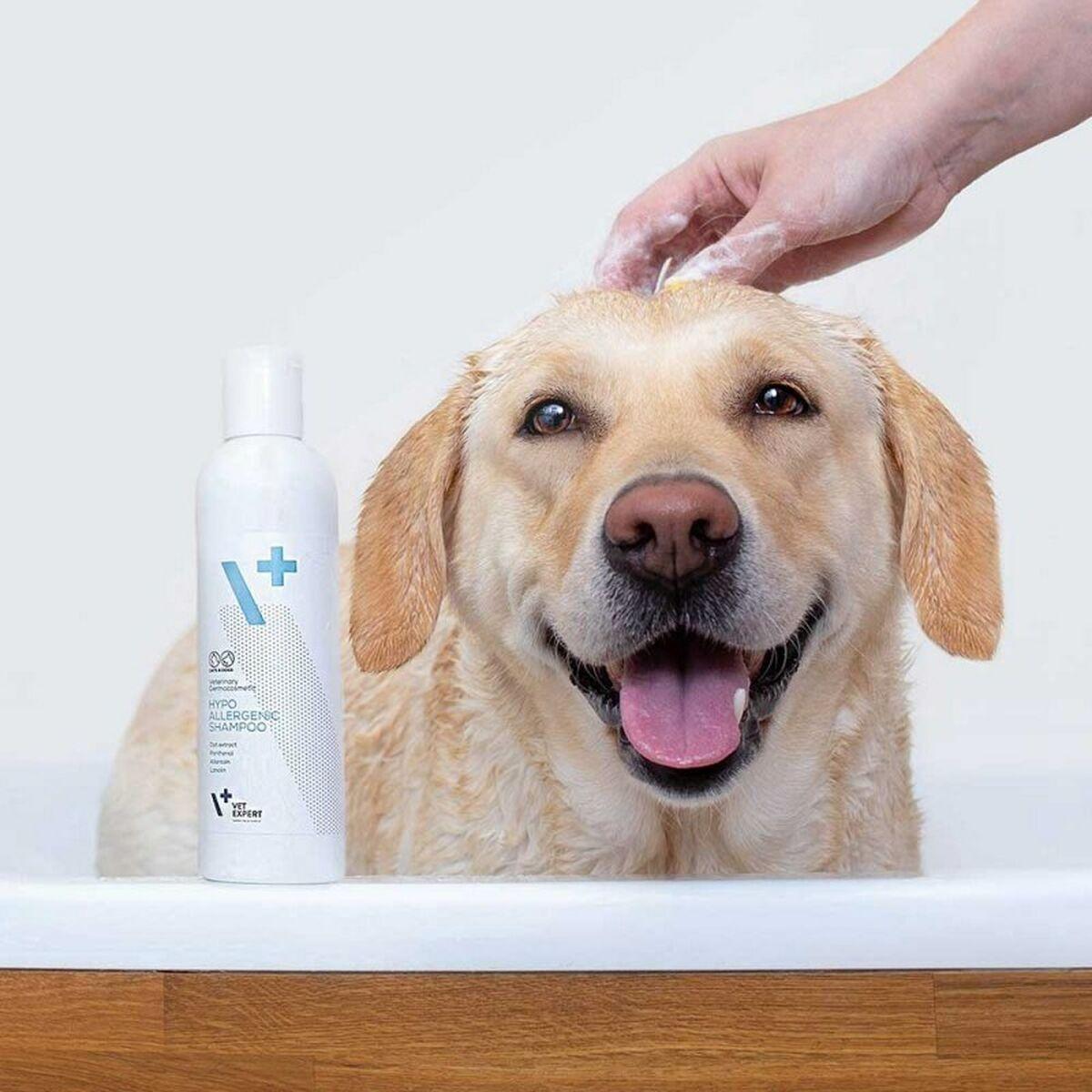 Champú para mascotas VETEXPERT                                 250 ml