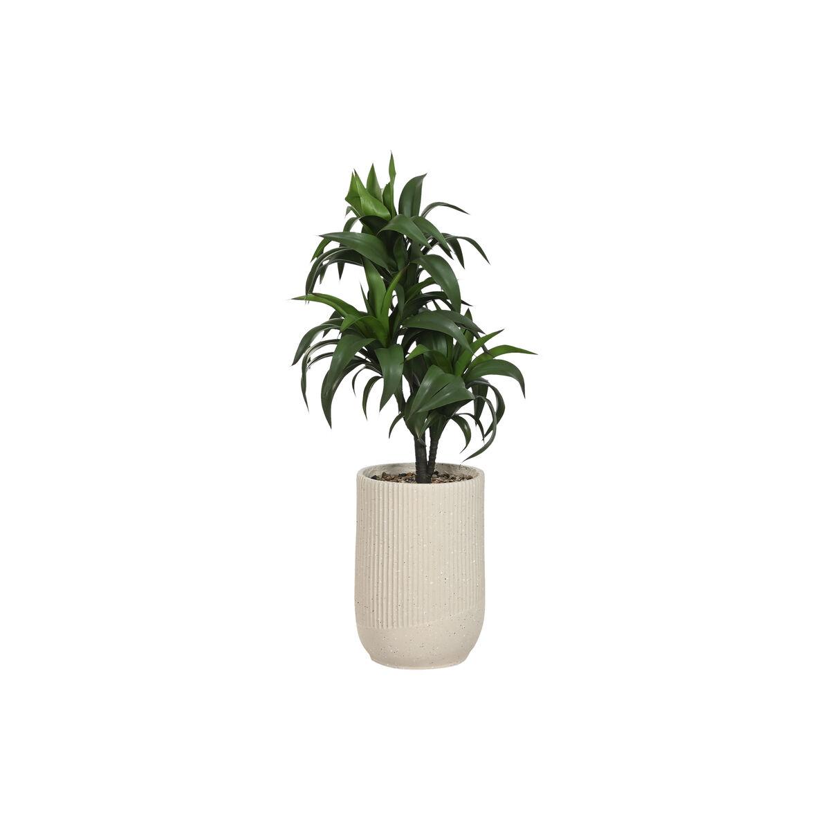 Planta Decorativa Home ESPRIT Resina Polietileno 50 x 50 x 102 cm