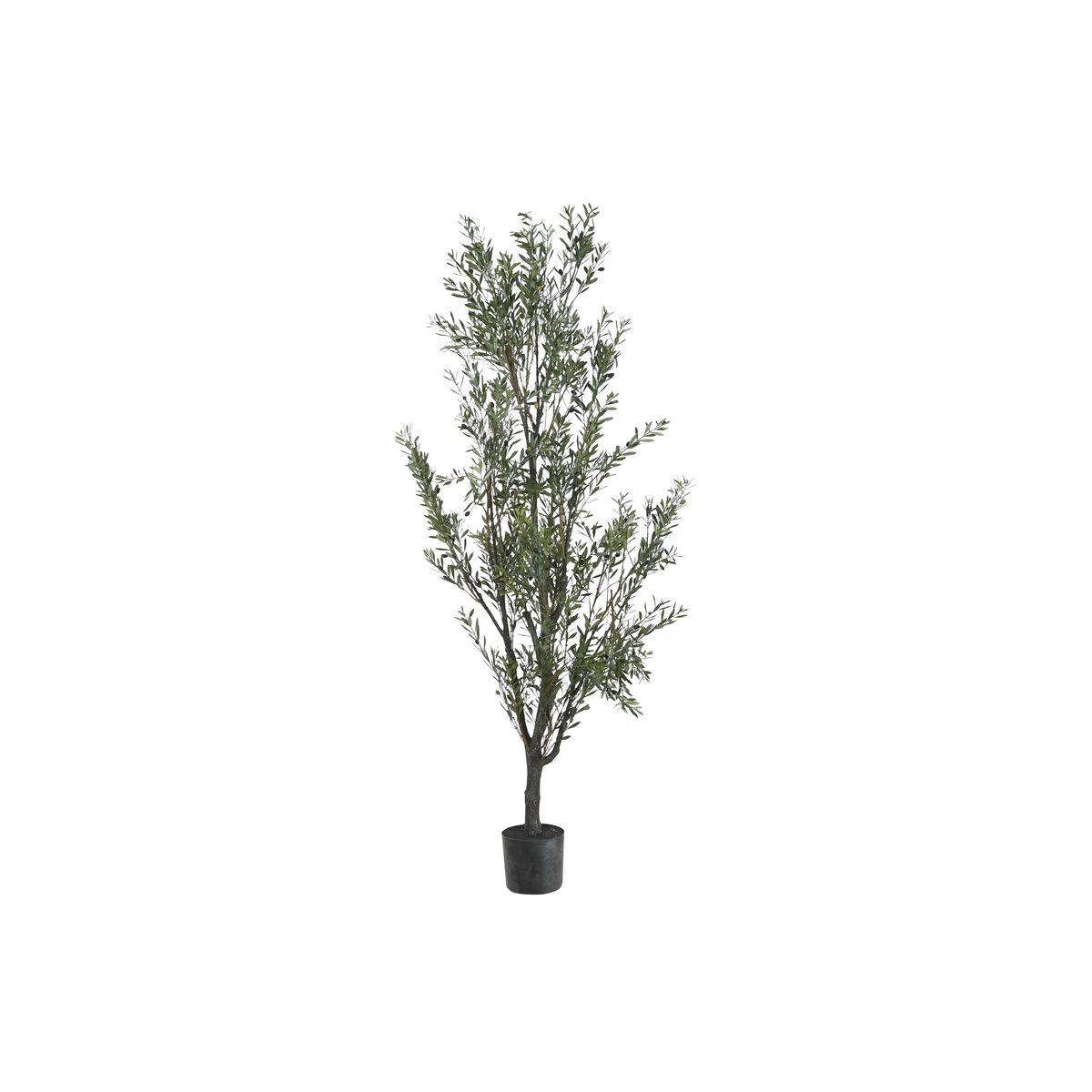 Árbol Home ESPRIT Polietileno Olivo