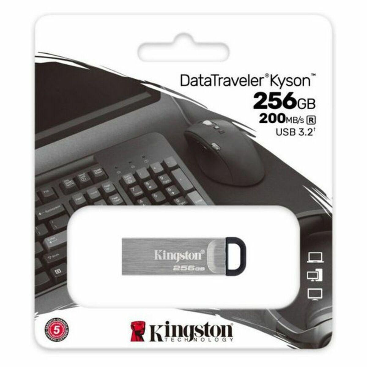 Pendrive Kingston DTKN/256GB 256 GB USB 3.2 Negro 256 GB