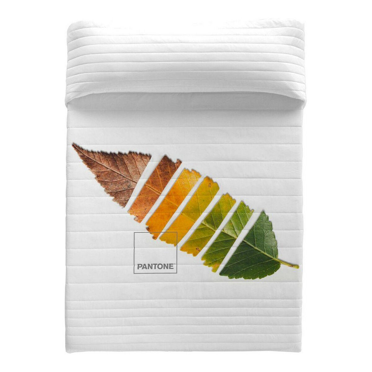 Colcha Leaf Pantone