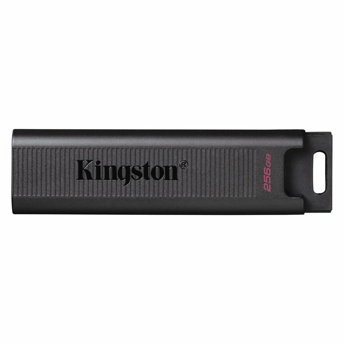 Memoria USB Kingston DTMAX 256 GB