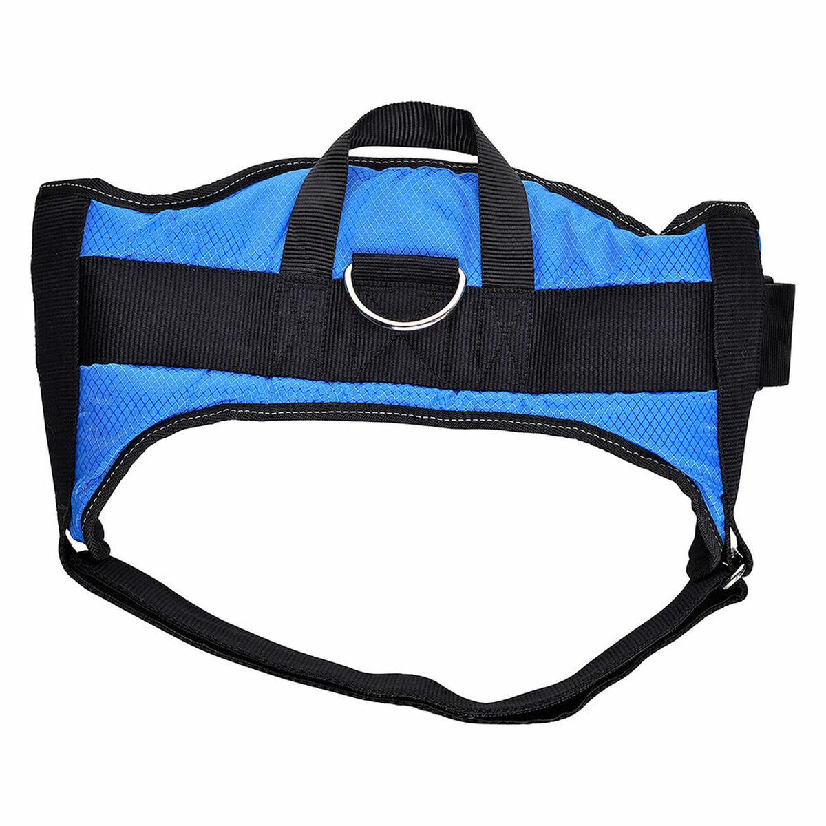 Arnés para Perro Hearts & Homies Azul Talla L